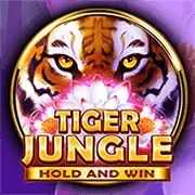 Hướng dẫn dành cho người mới tại on88 casino