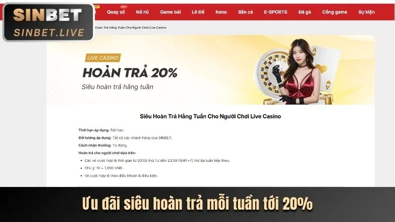 Chiến lược và mẹo cá cược trực tuyến